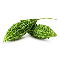 Bitter melon vegetable traditional botanical