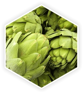Artichoke extract