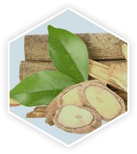 Tongkat Ali root