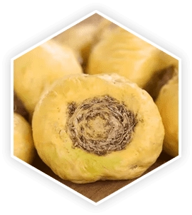 Maca root from Peru